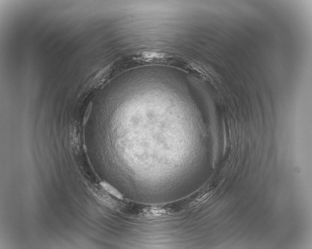 X0000054360607200508051531