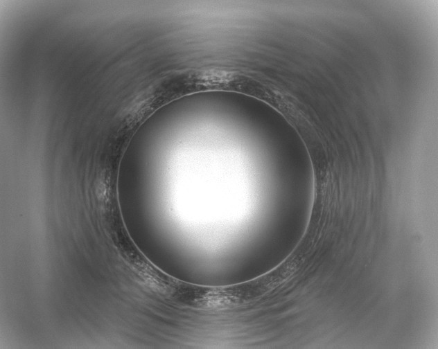 X0000054360608200508051531
