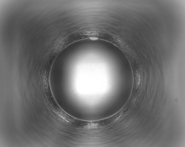X0000054360609200508051531