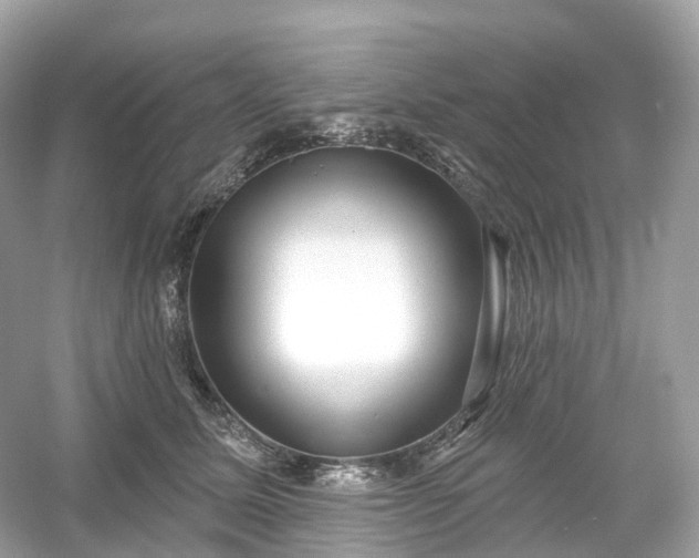 X0000054360611200508051531