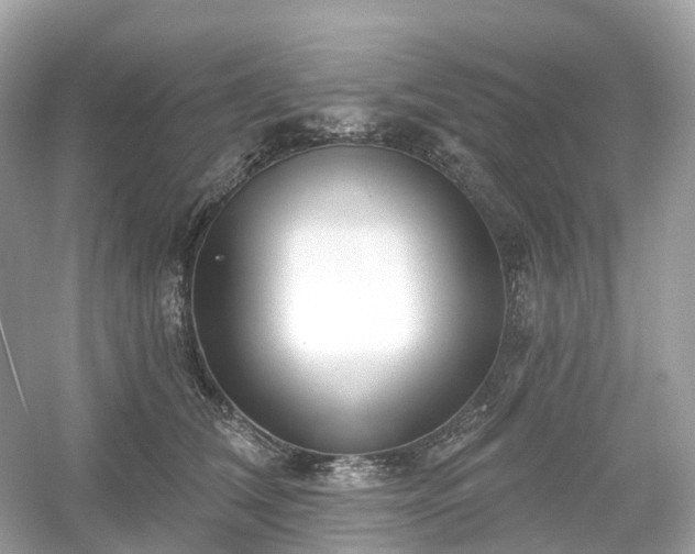 X0000054360612200508051531