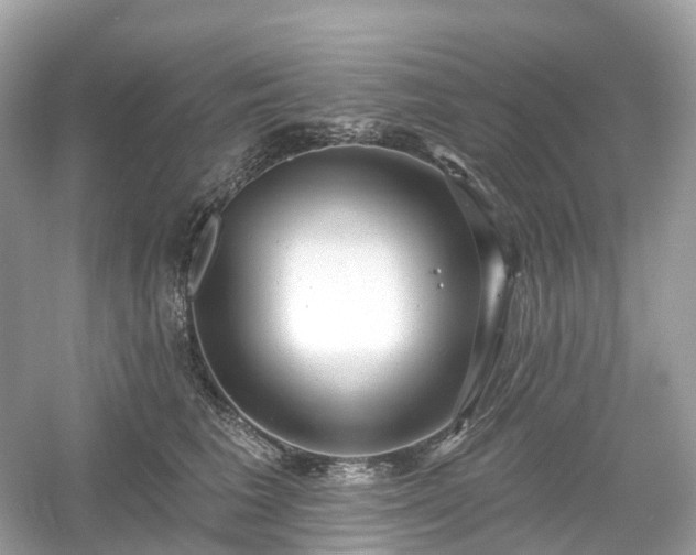 X0000054360613200508051531