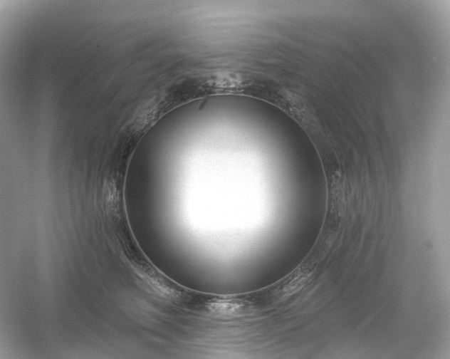 X0000054360614200508051531