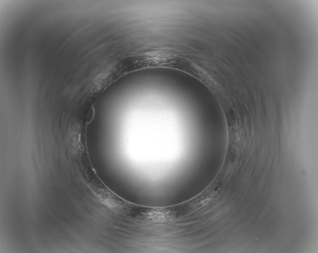 X0000054360615200508051531