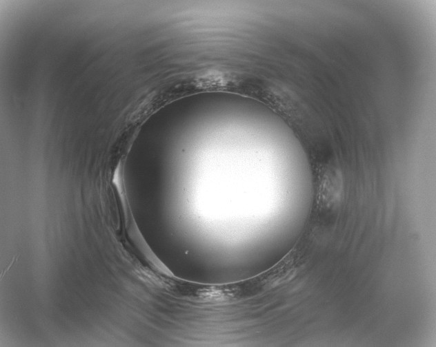 X0000054360616200508051531