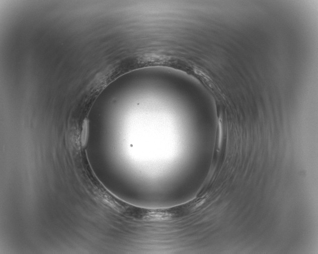 X0000054360617200508051531