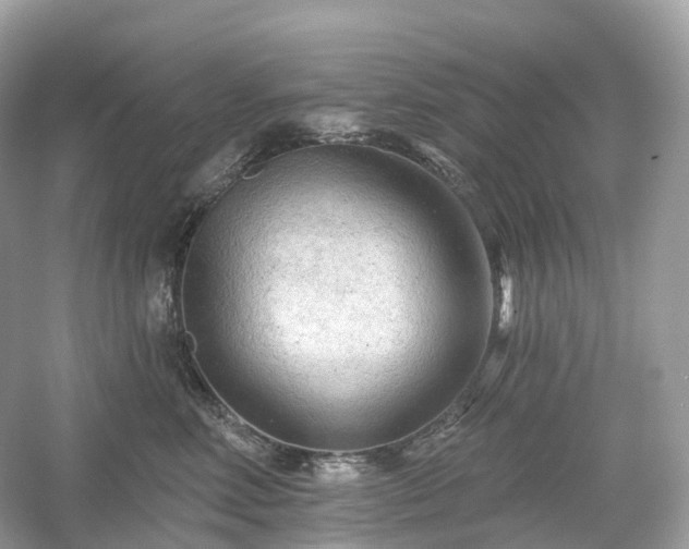 X0000054360618200508051531