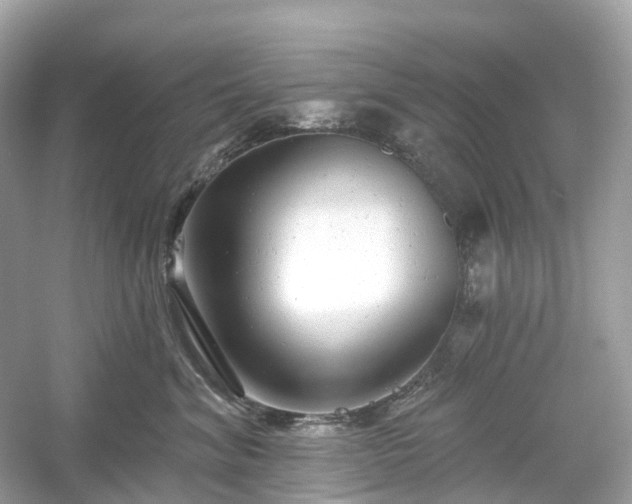 X0000054360620200508051531