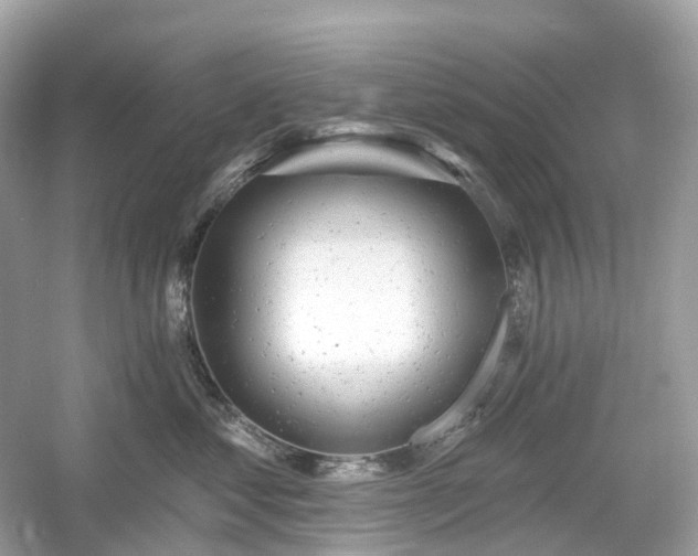 X0000054360621200508051531