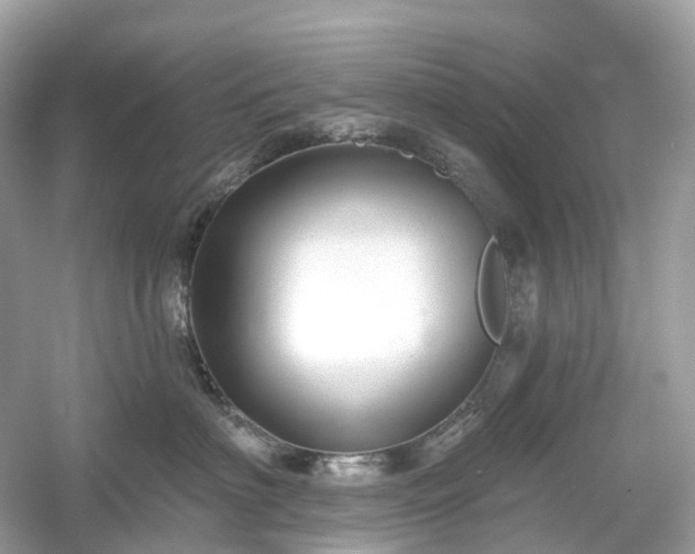 X0000054360622200508051531