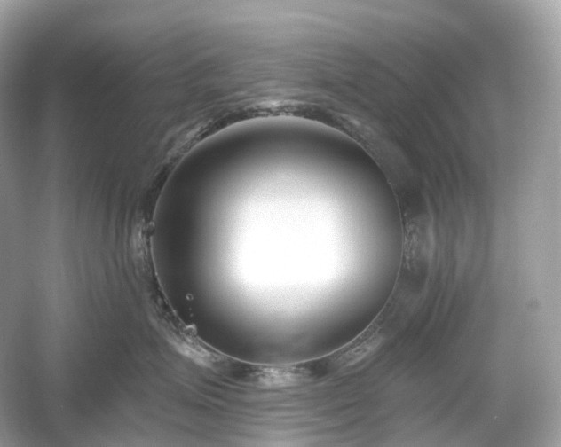 X0000054360623200508051531