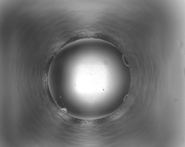 X0000054360624200508051531