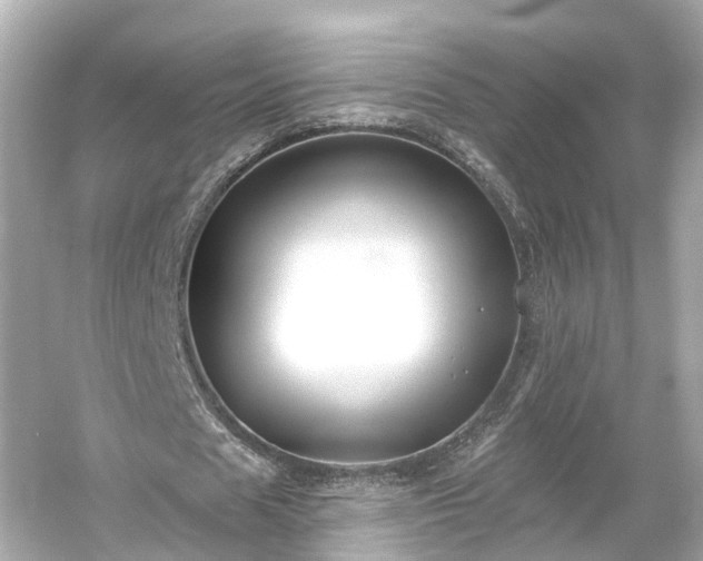 X0000054360625200508051530