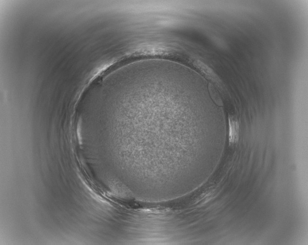 X0000054360627200508051530