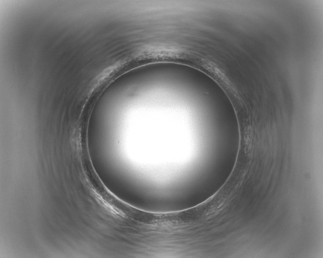 X0000054360629200508051530