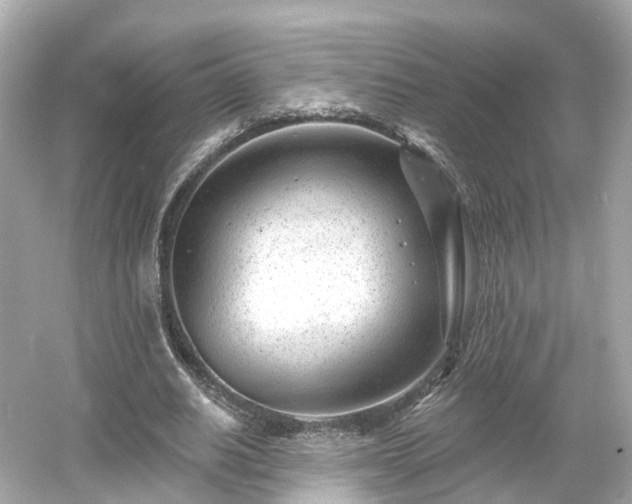 X0000054360630200508051530