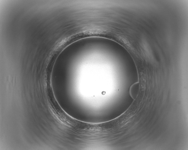 X0000054360631200508051530