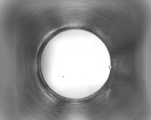 X0000054360632200508051530