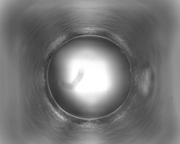 X0000054360633200508051530