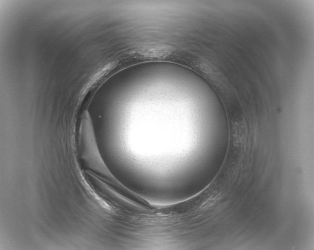 X0000054360634200508051530