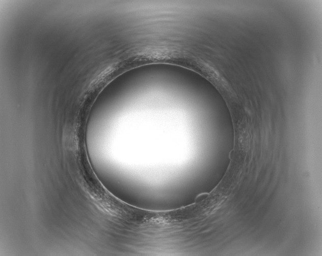 X0000054360635200508051530