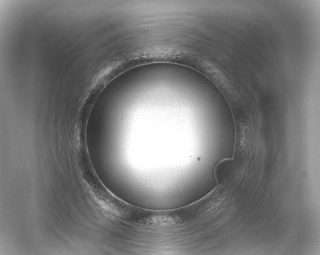 X0000054360636200508051530