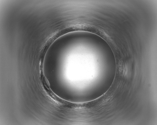 X0000054360637200508051530