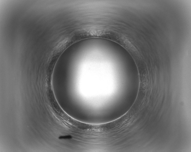 X0000054360639200508051530