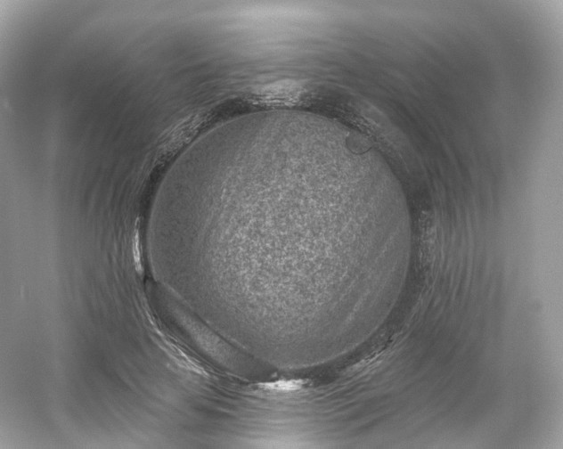 X0000054360641200508051530