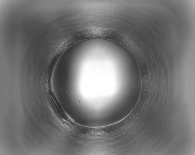 X0000054360642200508051530