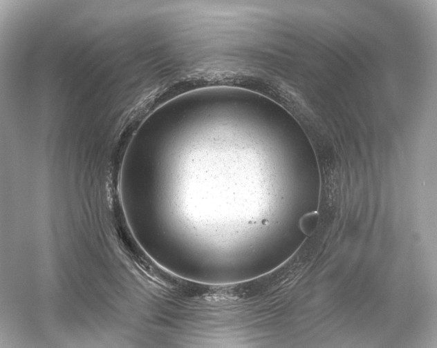X0000054360644200508051530