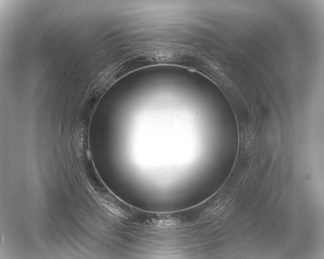 X0000054360645200508051530
