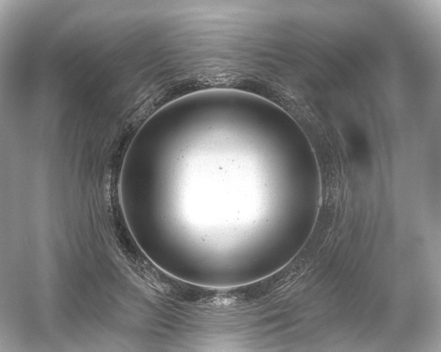 X0000054360647200508051530