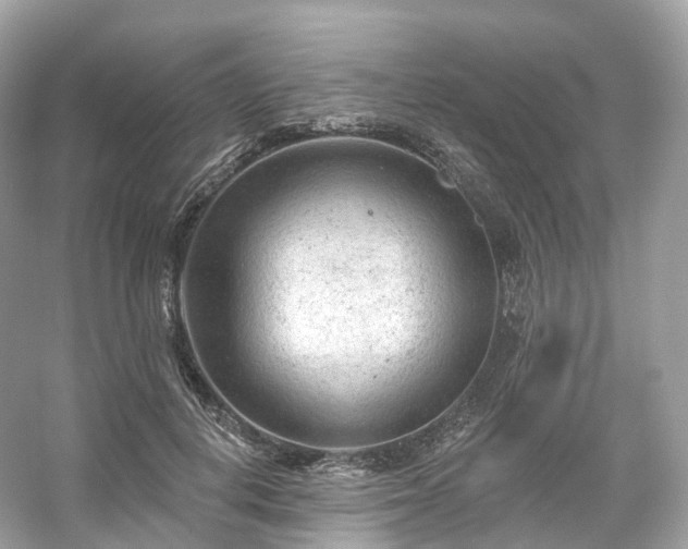 X0000054360648200508051530