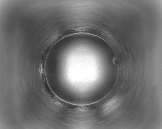 X0000054360652200508051530