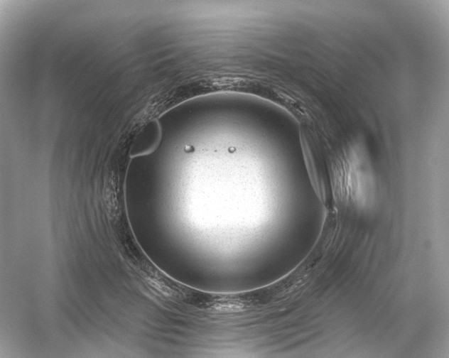 X0000054360653200508051530