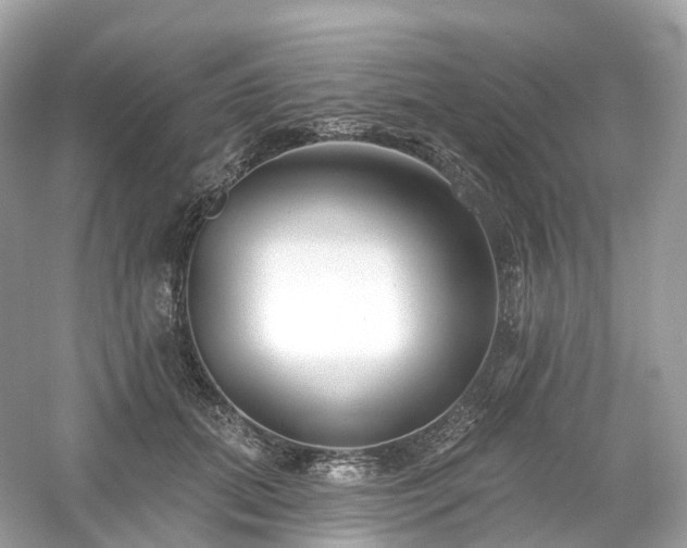 X0000054360655200508051530