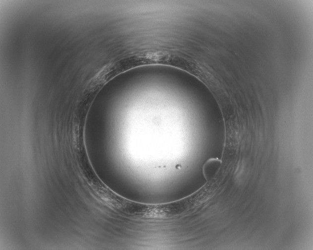X0000054360656200508051530