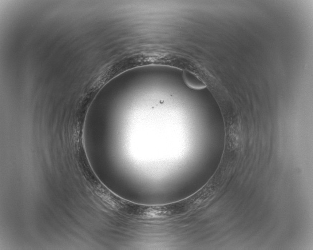 X0000054360657200508051530