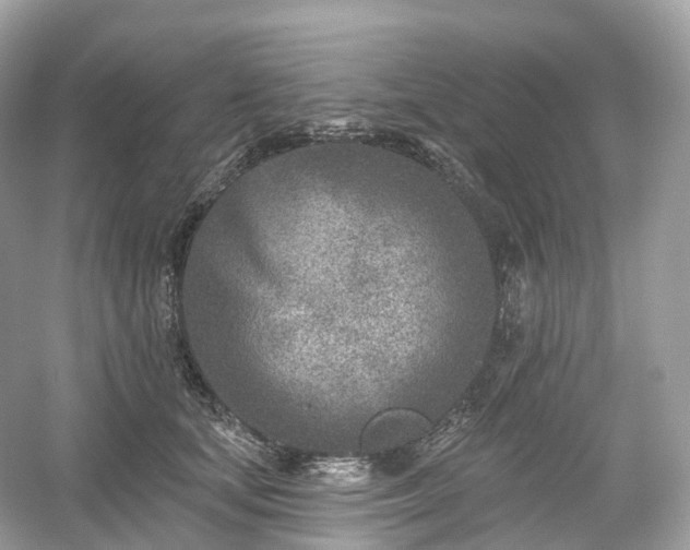 X0000054360659200508051530