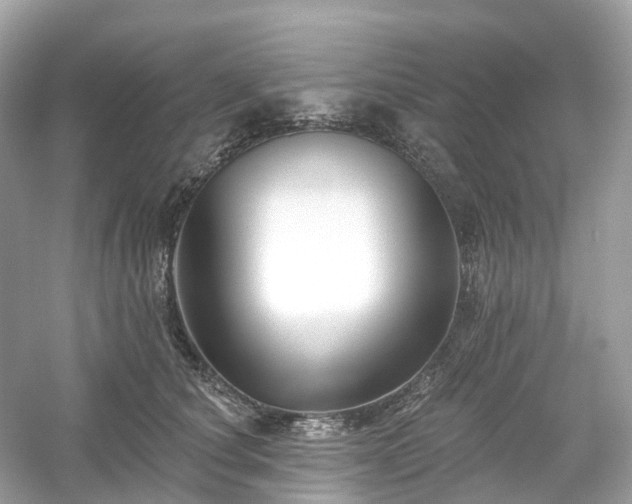X0000054360660200508051530