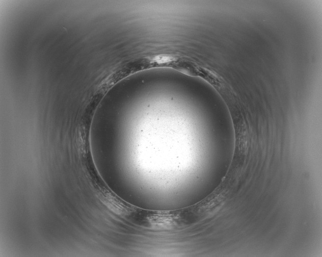 X0000054360661200508051530