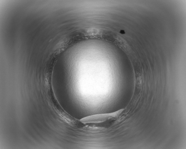 X0000054360662200508051530