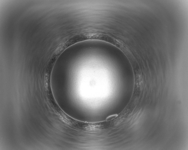 X0000054360664200508051530