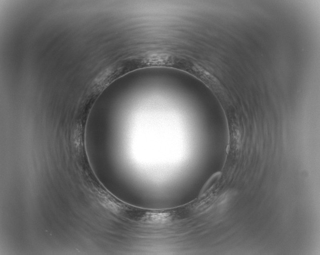 X0000054360665200508051530