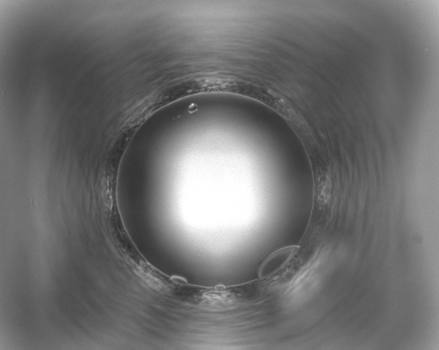 X0000054360666200508051530