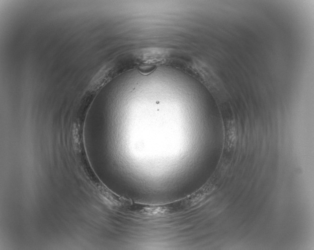X0000054360667200508051530