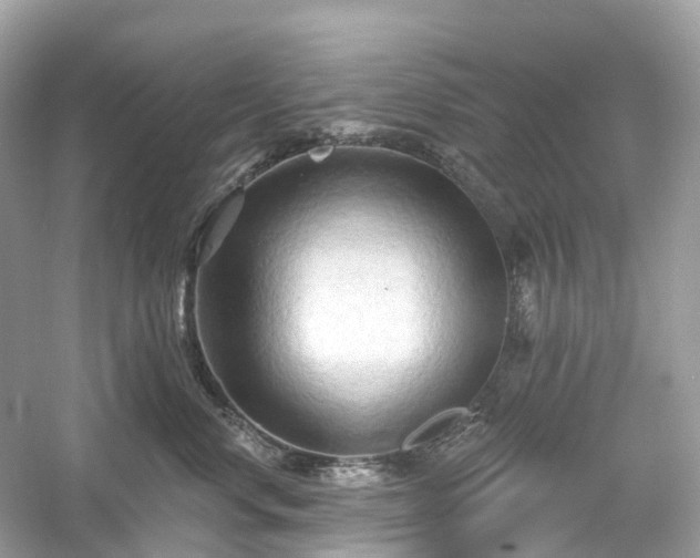 X0000054360668200508051530