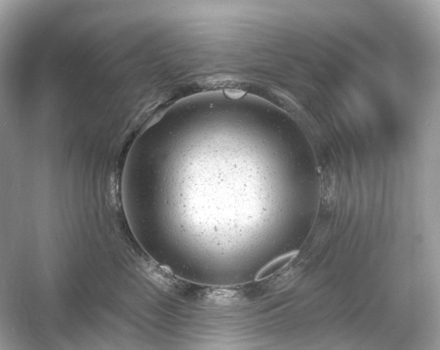 X0000054360669200508051530