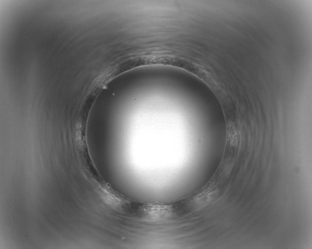 X0000054360670200508051530